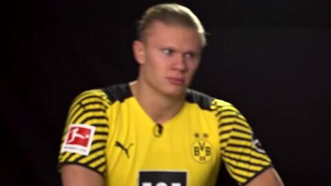 也是跨越东 也是跨越东